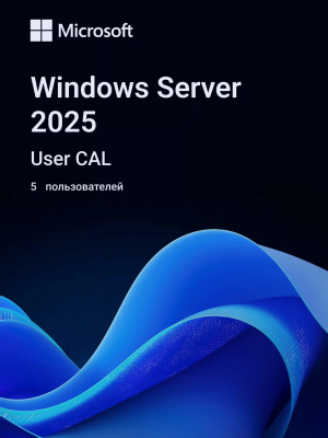 ПО Microsoft Windows Server CAL 2025 English 1pk DSP OEI 5 Clt User CAL (EP2-25279)