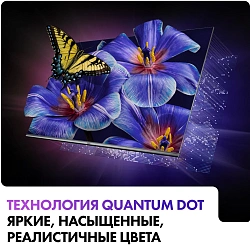 Телевизор QLED Haier 65" DH1VW9D04RU S4 Frameless серый 4K Ultra HD 60Hz MEMC DVB-T2 DVB-C DVB-S2 USB WiFi Smart TV