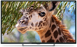 Телевизор LED PolarLine 50" 50PU11TC-SM черный 4K Ultra HD 60Hz DVB-T DVB-T2 DVB-C DVB-S2 WiFi Smart TV (RUS)