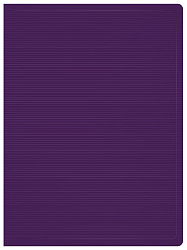 Папка с 10 прозр.вклад. Бюрократ DeLuxe DLV10BBERRY A4 пластик 0.7мм черничный