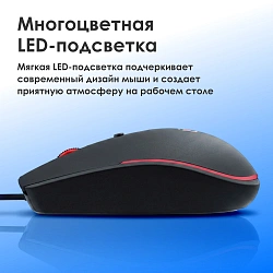 Мышь Оклик 100M черный оптическая 1600dpi USB для ноутбука 4but (1909417)