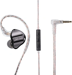 Гарнитура внутриканальные Fiio JD1 1.2м черный проводные в ушной раковине (80003491)