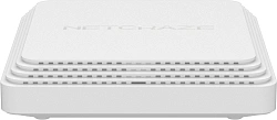 Роутер беспроводной Keenetic Netcraze Challenger SE (NC-3911) 100/1000/2500BASE-T