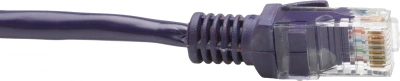 Патч-корд Premier PP12-5M/V 1000Гбит/с UTP 4 пары cat.5E CCA molded 5м фиолетовый RJ-45 (m)-RJ-45 (m)