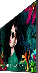 Панель Samsung 75" QM75C черный LED 8ms 16:9 HDMI M/M матовая 500cd 178гр/178гр 3840x2160 4K USB 38.3кг