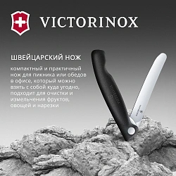 Нож кухонный Victorinox Swiss Classic 6.7803.F стальной столовый лезв.110мм прямая заточка черный карт.коробка