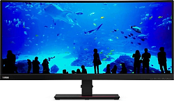 Монитор Lenovo 34" ThinkVision P34w-20 черный IPS LED 6ms 21:9 HDMI M/M HAS Piv 300cd 178гр/178гр 3440x1440 60Hz DP WQ HD 2K (1440p) USB 10.8кг