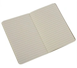Блокнот Moleskine CAHIER JOURNAL QP411 Pocket 90x140мм обложка картон 64стр. линейка бежевый (3шт)