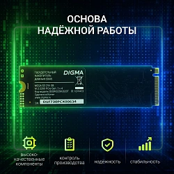 Накопитель SSD Digma PCIe 3.0 x4 256GB DGSM3256GS33T Mega S3 M.2 2280