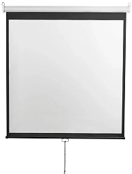 Экран Digis 248x144см Optimal-D DSOD-16905 16:9 настенный рулонный белый