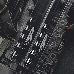 Память DDR4 16Gb 3200MHz Patriot PSP416G320081H1 Signature Premium RTL PC4-25600 CL22 DIMM 288-pin 1.2В single rank с радиатором Ret