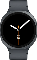 Смарт-часы Samsung Galaxy Watch 8 1.47" Super AMOLED корп.графитовый рем.графитовый (SM-L330NDAALTA)