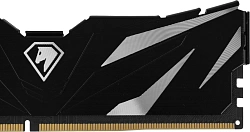 Память DDR4 8GB 3200MHz Netac NTSWD4P32SP-08K Shadow II RTL Gaming PC4-25600 CL16 DIMM 288-pin 1.35В с радиатором Ret