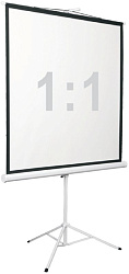 Экран Digis 100" 180x180см Kontur-D DSKD-1105 1:1 напольный рулонный