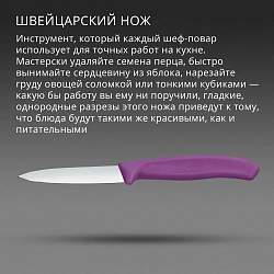 Нож кухонный Victorinox Swiss Classic 6.7605.C1 для чистки овощей и фруктов лезв.80мм прямая заточка пурпурный