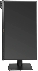 Монитор Asus 23.6" ProArt PA24US черный IPS LED 5ms 16:9 HDMI M/M матовая HAS Piv 1000:1 350cd 178гр/178гр 3840x2160 60Hz DP Quad 4K (2160p) USB 6кг