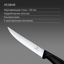 Нож кухонный Victorinox Swiss Classic Gourmet (6.7933) стальной разделочный для стейка/пиццы лезв.120мм серрейт. заточка черный