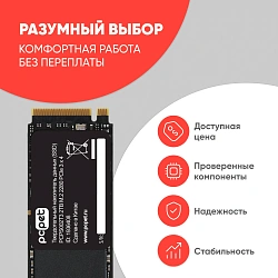Накопитель SSD PC Pet PCIe 3.0 x4 2TB PCPS002T3 M.2 2280 OEM