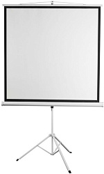 Экран Digis 100" 150x200см Kontur-D DSKD-4303 4:3 напольный рулонный