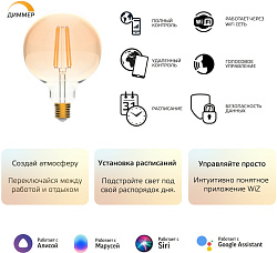 Умная лампа Gauss Smart Home G95 E27 Wi-Fi (1320112)
