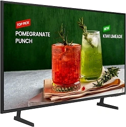 Панель Samsung 75" BE75D-H серый титан LED 16:9 DVI HDMI M/M TV глянцевая 250cd 178гр/178гр 3840x2160 RCA Да 4K USB 30.8кг