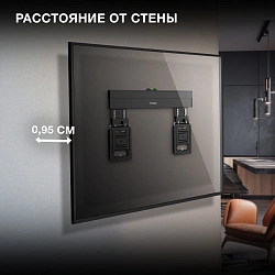 Кронштейн для телевизора Hyundai SL-X3 черный 32"-65" макс.75кг настенный фиксированный