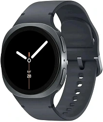 Смарт-часы Samsung Galaxy Watch 8 1.34" Super AMOLED корп.графитовый рем.графитовый (SM-L320NDAAMEA)