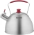 Чайник металлический Rondell Savvy RDS-1826 2.5л. стальной Чайник металлический Rondell Savvy RDS-1826 2.5л. стальной