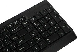 Клавиатура A4Tech Fstyler FK15 черный USB (FK15 BLACK)