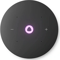 Умная колонка Yandex Станция Мини 3 Про Алиса серый 18W 2.0 BT/Wi-Fi (YNDX-00059GRY)