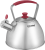 Чайник металлический Rondell Savvy RDS-1826 2.5л. стальной Чайник металлический Rondell Savvy RDS-1826 2.5л. стальной
