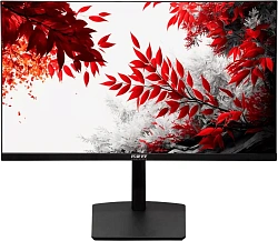 Монитор RDW Computers 31.5" RDW3207 черный IPS 1ms HDMI M/M HAS Piv 350cd 178гр/178гр 2560x1440 100Hz VGA DP QHD USB (RUS)