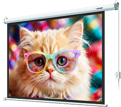 Экран Lumien 100" 157x227см Eco Control LEC-100119 16:9 настенно-потолочный рулонный белый