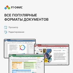Ключ активации Р7-Офис Профессиональный. Для бизнеса 1польз. бессрочно ТП 1г (R7DTB.UI.RT.NGUL0.0823.001BE)
