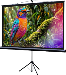 Экран Lumien 100" 130x227см Eco Picture LEV-100115 16:9 напольный натяжной белый