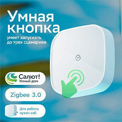 Умная кнопка Sber SBDV-00032 р.д.22м белый