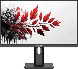 Монитор RDW Computers 27" RDW2701K черный IPS 1ms HDMI M/M матовая HAS Piv 350cd 178гр/178гр 2560x1440 100Hz DP QHD (RUS)