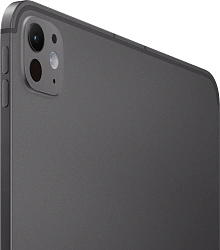 Планшет Apple iPad Pro 2025 A3358 M5 9C RAM12Gb ROM256Gb 11" OLED 2420x1668 5G eSIM iOS черный космос 12Mpix 12Mpix BT WiFi 10hr