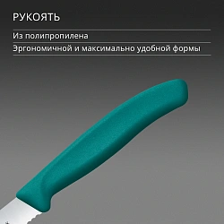 Нож кухонный Victorinox Swiss Classic (6.7834.C1) стальной столовый для овощей лезв.110мм серрейт. заточка зеленый