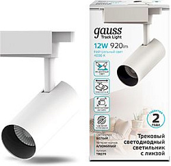 Светильник Gauss TR079 4000K цв.св.:белый нейтральный белый
