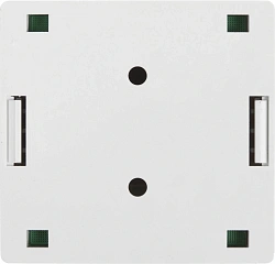 Розетка Lanmaster TWT-SM2-4545-WHRJ45 2 кат.5E бел. (упак.:1шт)