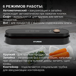 Вакуумный упаковщик Hyundai HY-VA3003 110Вт шир.пак.:30см черный/серый