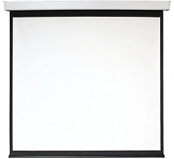 Экран Digis 135" 240x240см Electra-F DSEF-1108 1:1 настенно-потолочный рулонный (моторизованный привод)