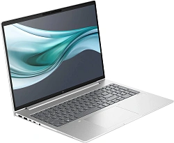 Ноутбук HP EliteBook 660 G11 Core Ultra 5 125U 16Gb SSD512Gb Intel Graphics 16" WUXGA (1920x1200) Windows 11 Pro silver WiFi BT Cam (C9SB7U8)