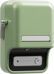 Термопринтер Niimbot B21S (1746725) 203dpi 60мм/с/USB/BT для печ.этик. зеленый