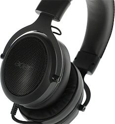 Наушники с микрофоном Acer AHW120 черный 2.1м мониторные USB оголовье (ZL.HDSCC.01C)