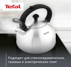 Чайник металлический Tefal Wawe N4210117 2.5л. серебристый (3110602015)