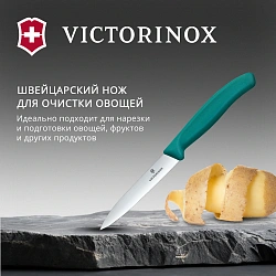 Нож кухонный Victorinox Swiss Classic (6.7704.C1) для овощей лезв.100мм прямая заточка зеленый