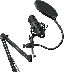 Микрофон проводной Оклик SM-700G 2.5м черный