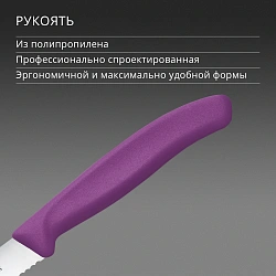 Нож кухонный Victorinox Swiss Classic 6.7235.C1 для стейка/пиццы лезв.110мм серрейт. заточка пурпурный